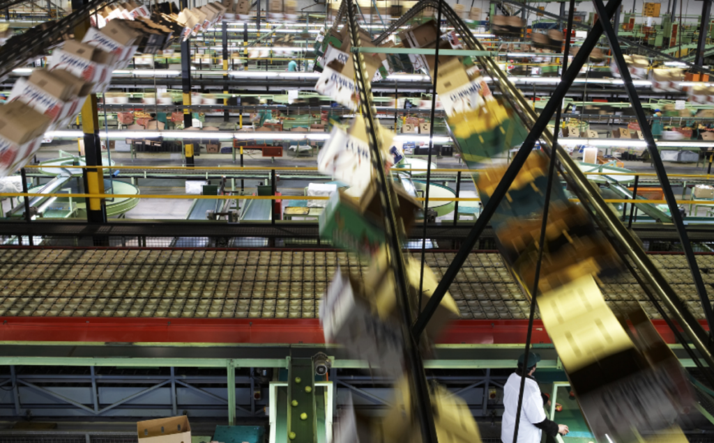 Inside a large industrial facility, conveyor belts and overhead tracks move cardboard boxes at high speed, creating motion blur. Multiple levels of automated machinery fill the brightly lit space. A person in a white coat stands near the lower right, observing the equipment.